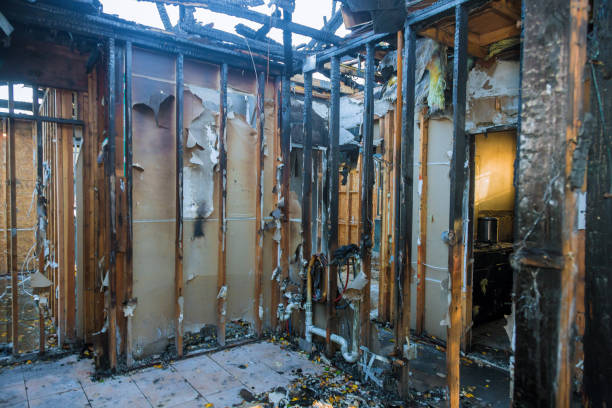 Professional Fire Damage Removal technician working in Gang Mills, NY